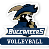 CSU Volleyball Decal - M12