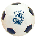 Spirit Medium 4" Foam Soccer Ball | Blue/White